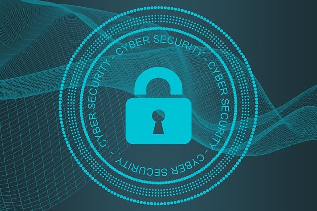Why Every Small Business Needs a Cyber Security Service Plan